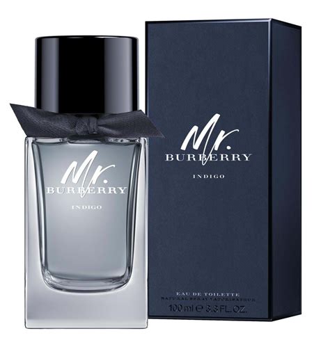 mr burberry inci|mr burberry indigo perfume.